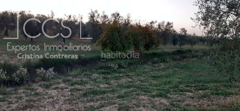 Foto 8014e52e-3da2-4594-b30b-c45b39fe3481. Finca rústica a Almonte Almonte