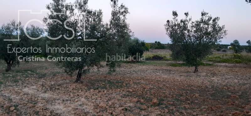 Foto 8a59aded-f482-4254-931c-00b49f0a8d86. Finca rústica a Almonte Almonte