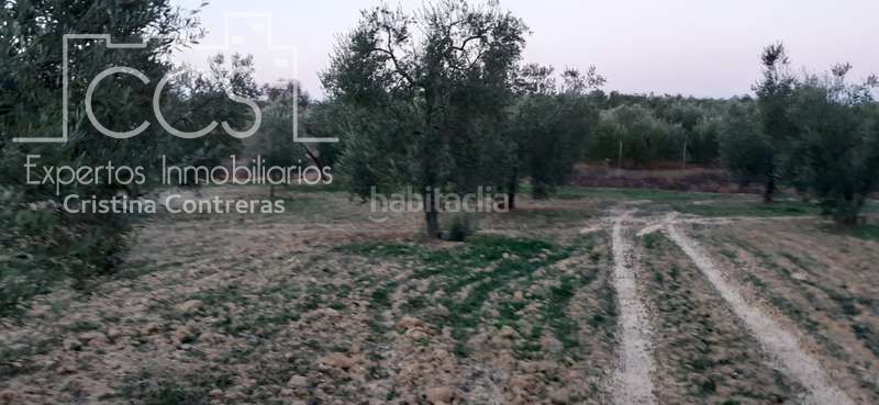 Foto ae0f9b2d-64a0-4e82-94fb-fd6e6c9f0153. Finca rústica a Almonte Almonte