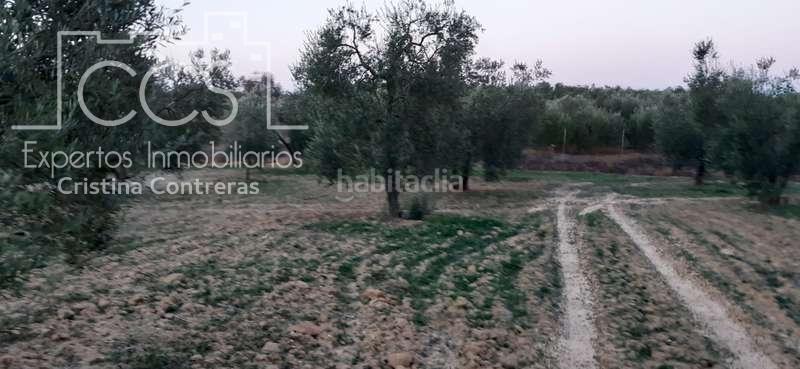 Foto bf26d51d-b434-4155-9ed0-52c91a674d05. Landgut in Almonte Almonte