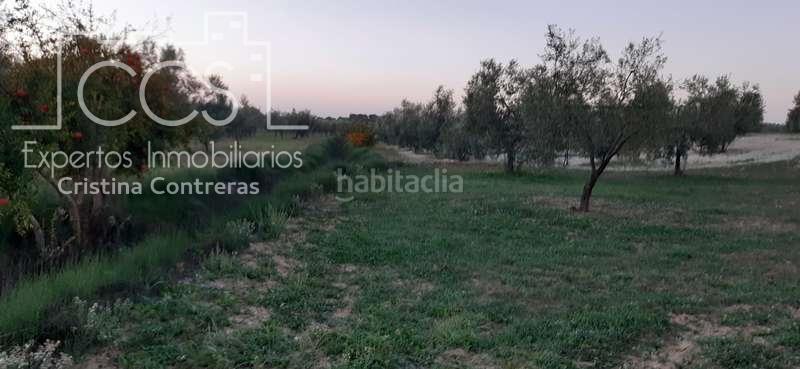 Foto d18f9c32-4c2b-46d2-ad0d-e06e5fa20f83. Landgut in Almonte Almonte