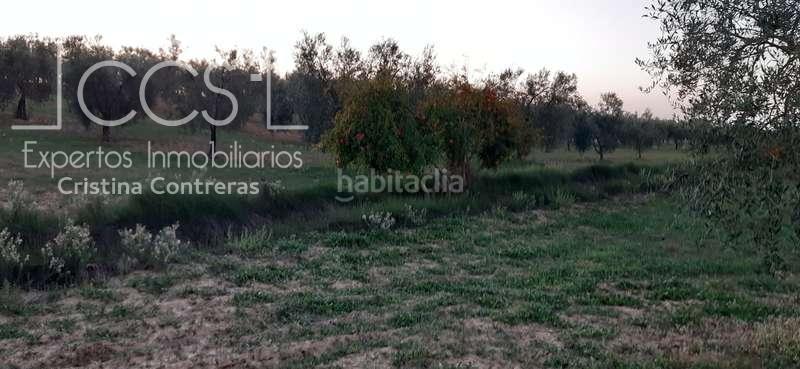 Foto de36739e-1679-4a90-9038-9c3c0a17bde5. Landgut in Almonte Almonte