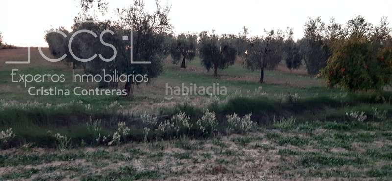 Foto e6610f46-2bf5-4297-bcc5-23e0417399b6. Finca rústica a Almonte Almonte