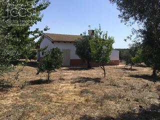 Masía en Almonte. Venta de finca en concesión, 4.500 m2 de terreno y casa de apero