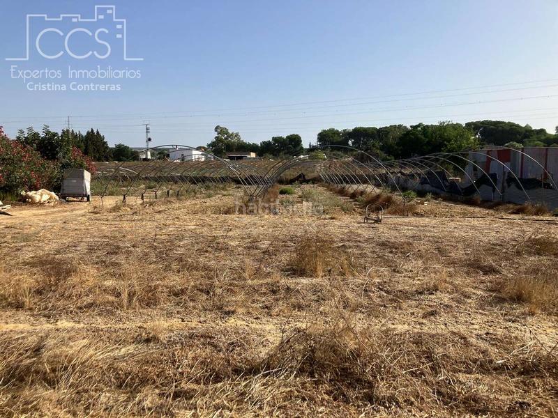 Foto 0b622bbe-e942-415e-af37-0218dc96b99a. Bauernhof mit pool in Almonte Almonte