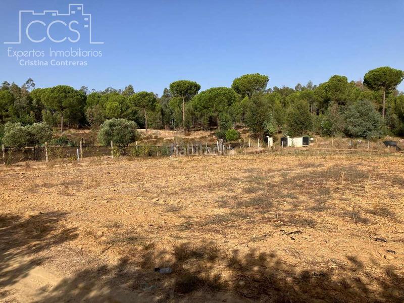 Foto 873015cf-05b5-49ab-ae60-0c4f42be87eb. Bauernhof mit pool in Almonte Almonte