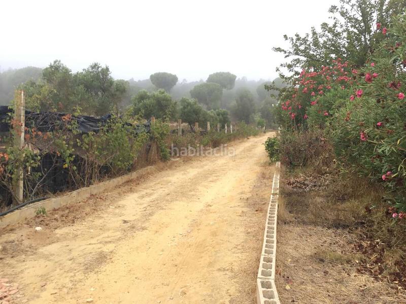 Foto bf66b375-797d-4a1e-80cd-b5b06a731f22. Bauernhof mit pool in Almonte Almonte