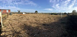Masia en Rociana del Condado. Venta de finca en propiedad de 7.155 m2 de terreno con construcc