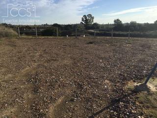 Mas à Rociana del Condado. Venta de finca en propiedad de 7.155 m2 de terreno con construcc