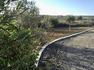 Masia a Rociana del Condado. Venta de finca en propiedad de 7.155 m2 de terreno con construcc