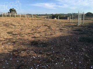 Mas à Rociana del Condado. Venta de finca en propiedad de 7.155 m2 de terreno con construcc