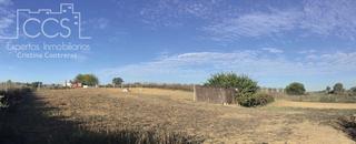 Mas à Rociana del Condado. Venta de finca en propiedad de 7.155 m2 de terreno con construcc