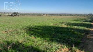 Finca rústica a Almonte. Venta de finca rústica  en propiedad de  34.257 m2 de terreno  d