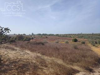 Finca rústica a Almonte. Venta de finca en concesión  de 7.100m2 de terreno en almonte hu