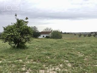 Mas à Almonte. Venta de finca en concesión de 68.716 m2 de terreno y una casa d