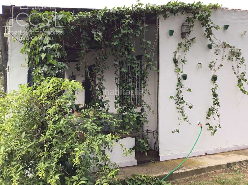 Foto 0269bb8b-f671-49a1-9860-5cdcde946ea4. Masia amb piscina a Almonte Almonte