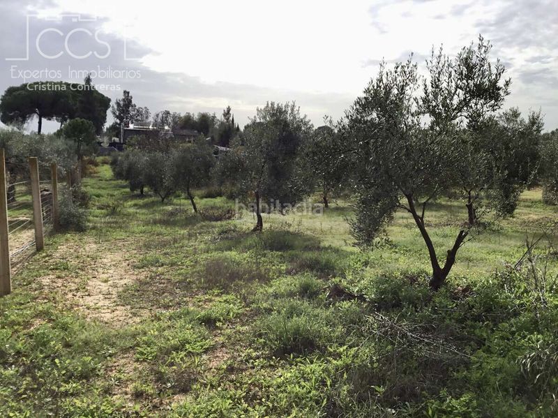 Foto 17088f3c-6ef0-4566-83d0-0fbded96d0ee. Masia amb piscina a Almonte Almonte