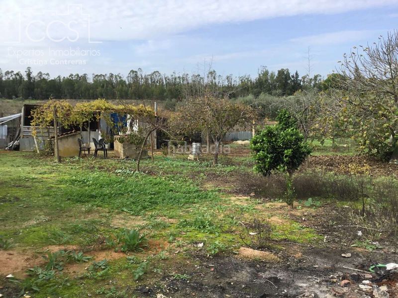 Foto 333094e3-6c67-4215-ae06-db7c133ea5d6. Masia amb piscina a Almonte Almonte