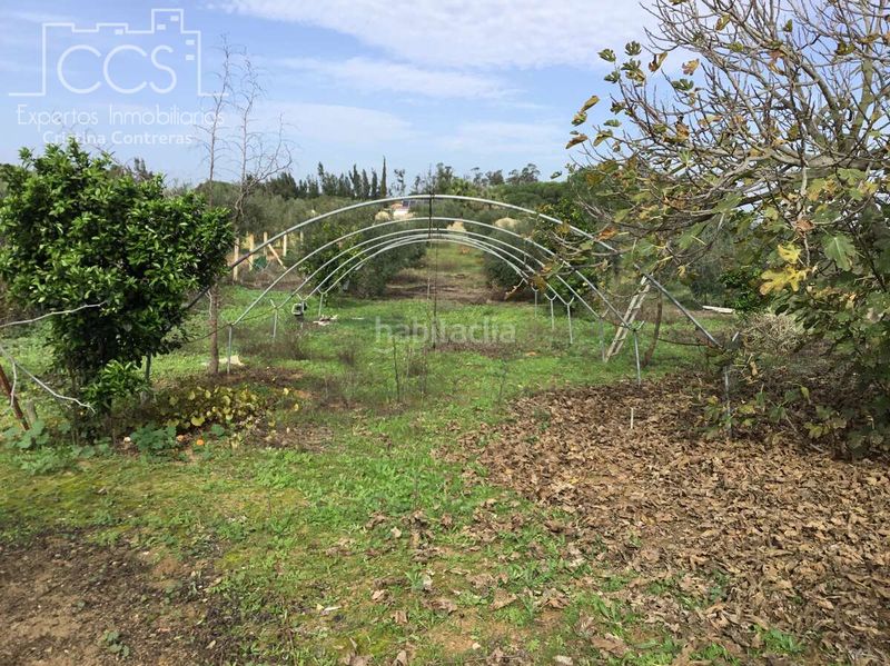 Foto 41e34df4-8ae2-4455-a4fc-1ab9c0bbcc4e. Masia amb piscina a Almonte Almonte