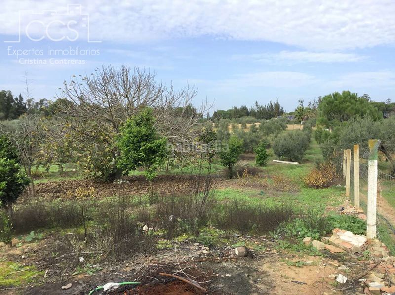 Foto 6649256e-2404-4689-9a4b-7828a4f3cae2. Masia amb piscina a Almonte Almonte