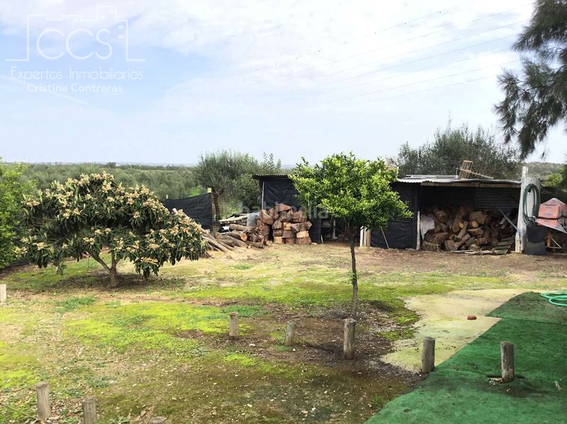 Foto 680fb03d-8713-421c-9aca-a18387a55fa3. Masia amb piscina a Almonte Almonte