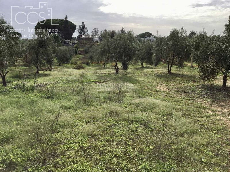 Foto 8d5b8707-fb30-442b-bbc3-bb60994c419c. Masia amb piscina a Almonte Almonte