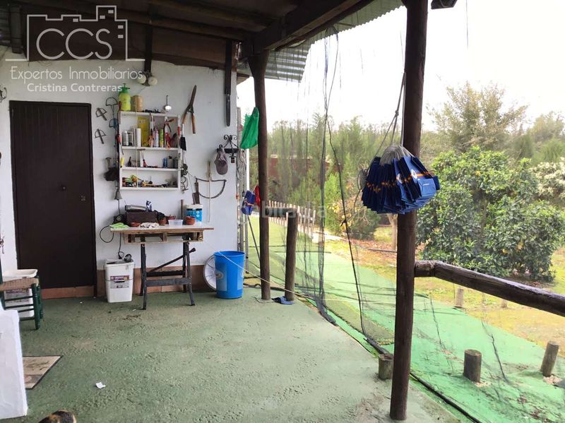 Foto 9714f60f-4e92-41d4-b9de-fb145ef9b40f. Masia amb piscina a Almonte Almonte