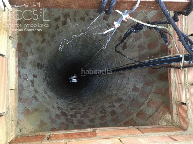 Foto 9a56cc19-cb63-42f5-8dd8-06a66b73abb6. Masia amb piscina a Almonte Almonte