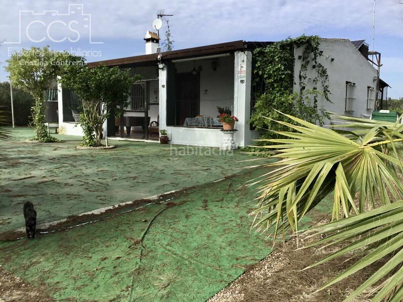 Foto 9c7224cd-6889-41cc-807d-60cf8676e5b6. Masia amb piscina a Almonte Almonte