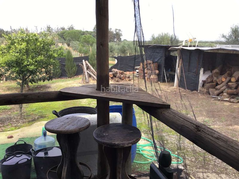 Foto a6e722f1-fccd-4ac1-9b87-b442f8879eb7. Masia amb piscina a Almonte Almonte