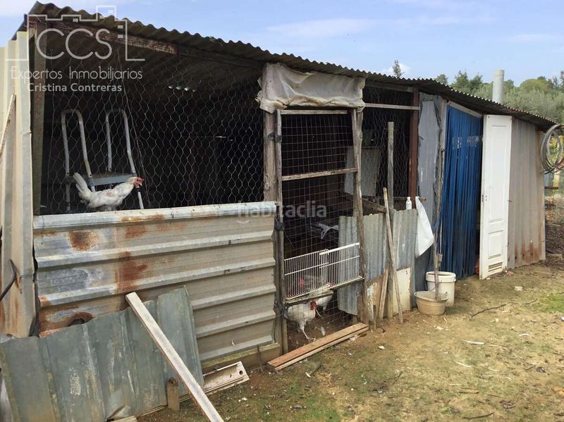 Foto bc556d63-cef7-4732-82da-e9fd034c30f3. Masia amb piscina a Almonte Almonte