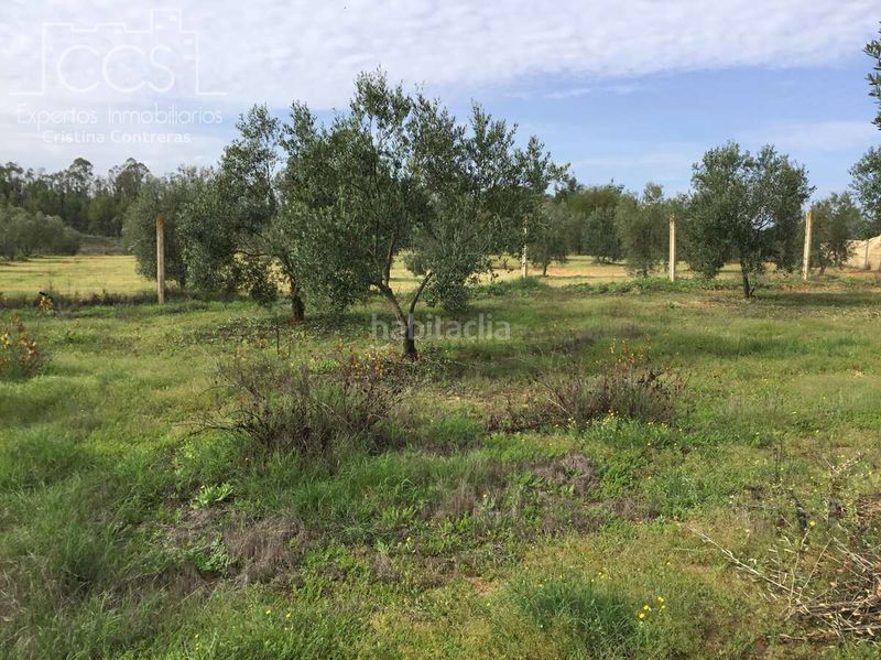 Foto eb2d53af-f964-4a1c-84f9-63da7a180594. Masia amb piscina a Almonte Almonte