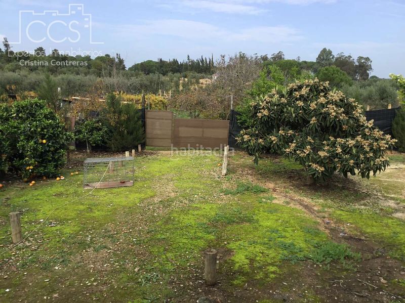 Foto ed84816b-1781-4b6c-b424-cb46b0fa5755. Masia amb piscina a Almonte Almonte