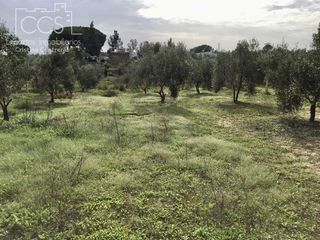 Masia a Almonte
