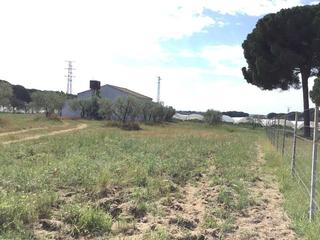 Masia en Almonte. Venta de finca en concesin de 1ha, con vivienda de 60m2 constru
