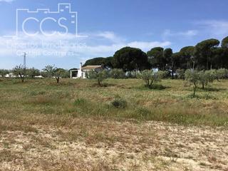 Mas à Almonte. Venta de finca en concesión de 1ha, con casa de aperos  de 60m2