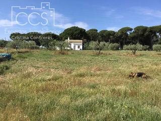 Mas à Almonte. Venta de finca en concesión de 1ha, con casa de aperos  de 60m2