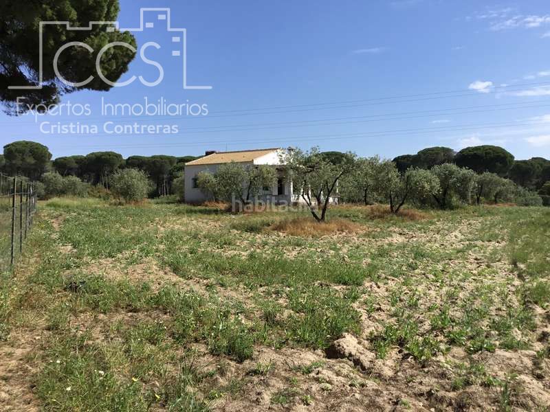 Foto 2ff85a93-4659-4c20-a03e-bf99535d59ca. Masia a Almonte Almonte