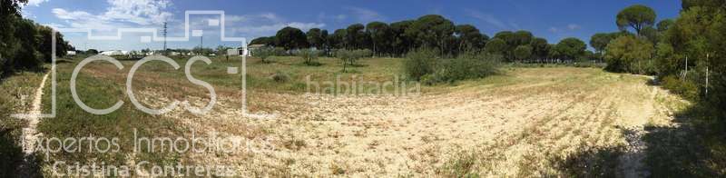 Foto 41bfa517-27b0-4361-bbaa-2349efbb6fe0. Masia a Almonte Almonte