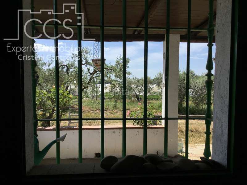 Foto 4abc3190-aa36-405d-a64b-3d9dd2be1933. Masia a Almonte Almonte