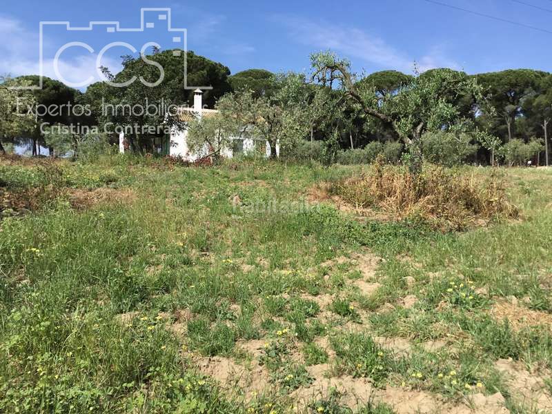 Foto 6b4ea65c-8ed1-4661-994d-8f8c8fc2899c. Masia a Almonte Almonte