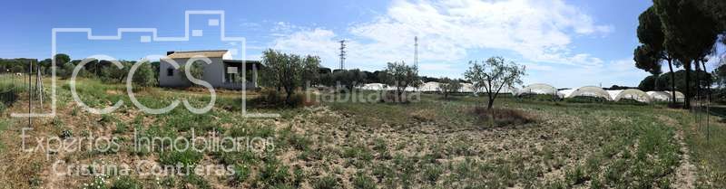Foto 725da6ec-79ff-4442-9653-58c8e47e2b9d. Masia a Almonte Almonte