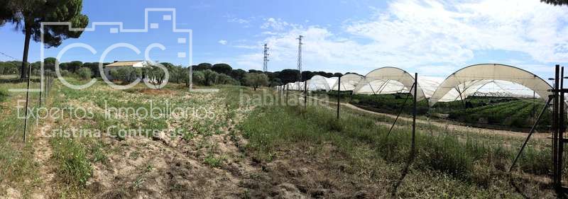 Foto b0a1089a-2854-40ba-8ca1-f3a14c913b89. Masia a Almonte Almonte