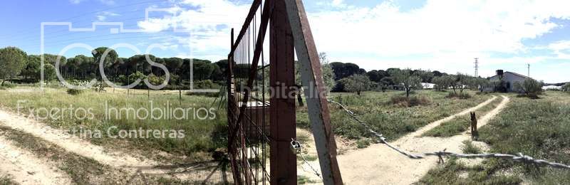 Foto bbd5bfd9-a111-4213-9bdd-366ffbc113a7. Masia a Almonte Almonte