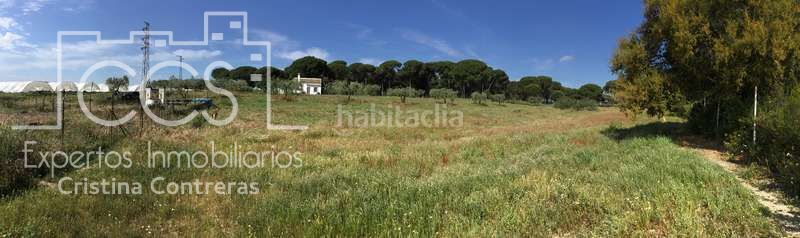 Foto e4748c46-3ee4-494c-bb2d-f551a125bc7a. Masia a Almonte Almonte