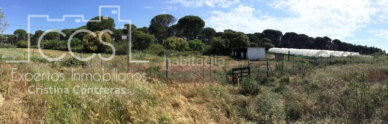 Foto fbe1b568-f547-49d9-86f5-e6c858fd5b4a. Masia a Almonte Almonte