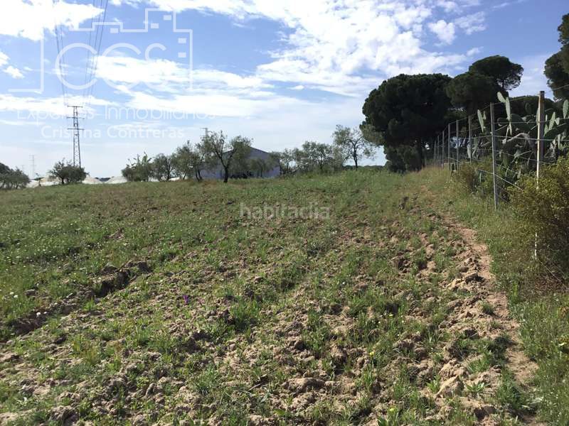 Foto fd82b100-1457-4c40-a906-37749884cfbf. Masia a Almonte Almonte