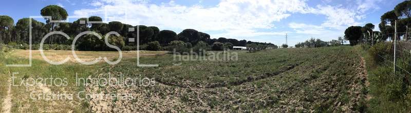 Foto 05d9a928-f2d0-42fb-bba5-44ba9e592278. Masia a Almonte Almonte