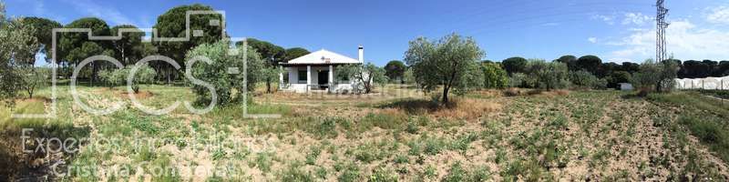 Foto 10360115-ccc0-4fa0-9a1a-5f11cf1f849a. Masia a Almonte Almonte