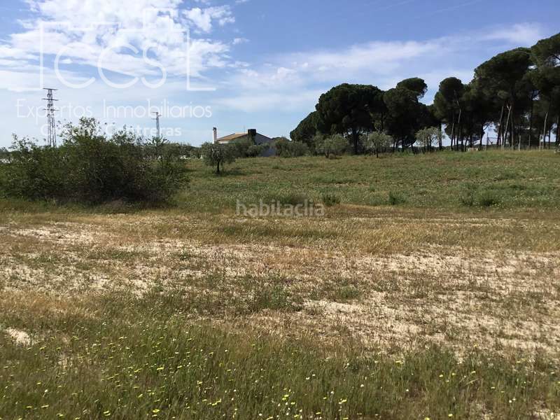 Foto 33b3c854-aa69-4928-a9aa-e9aea62b6d2d. Masia a Almonte Almonte